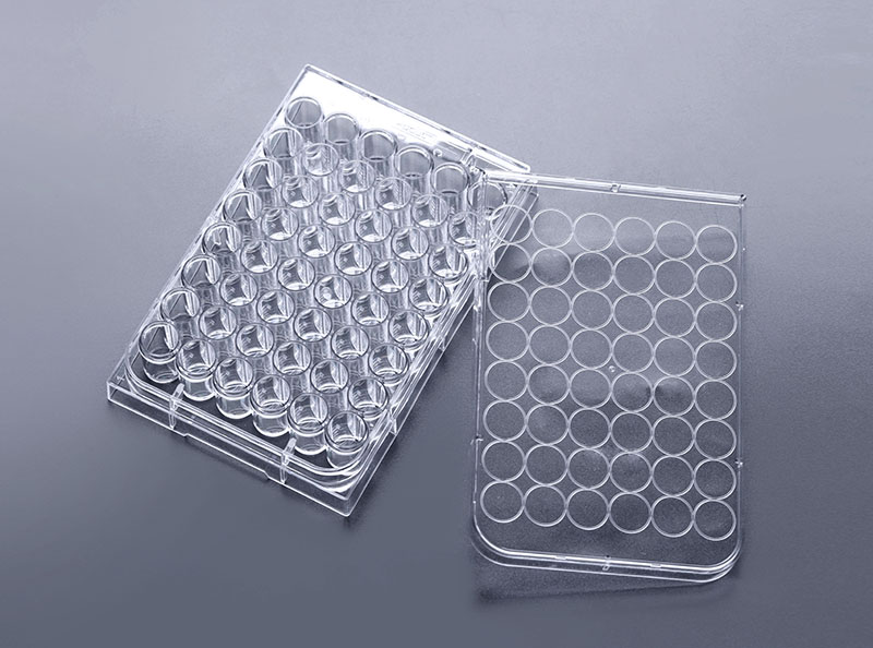 48孔細(xì)胞培養(yǎng)板