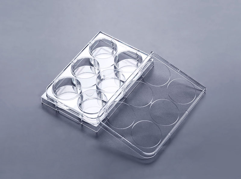 6孔細(xì)胞培養(yǎng)板