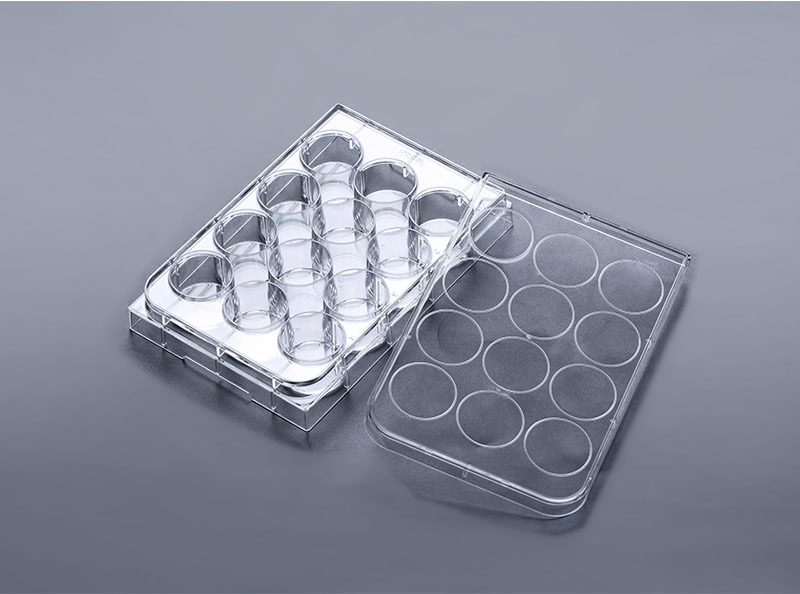 12孔細胞培養(yǎng)板