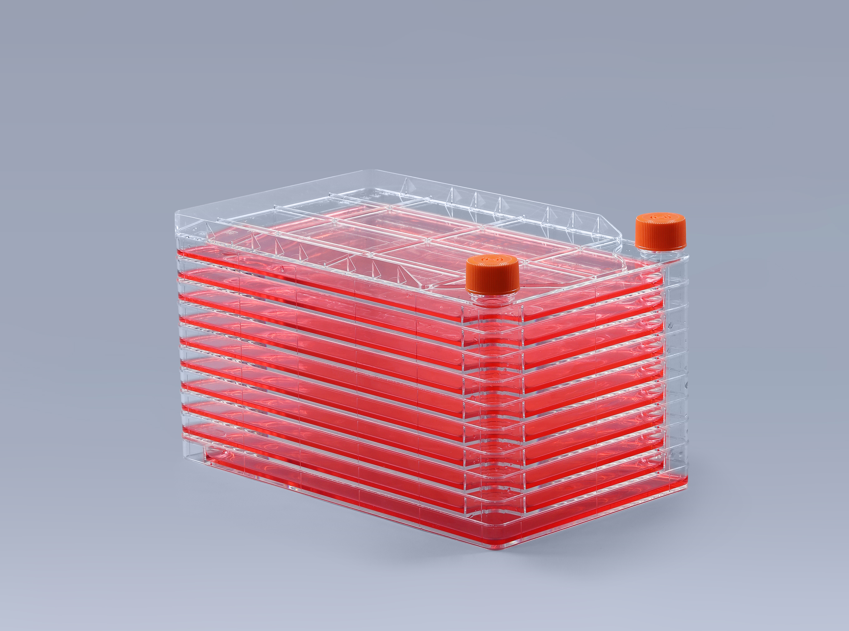  聆聽(tīng)二十大-富道細(xì)胞貫徹助力生命科學(xué)發(fā)展企業(yè)責(zé)任_富道細(xì)胞